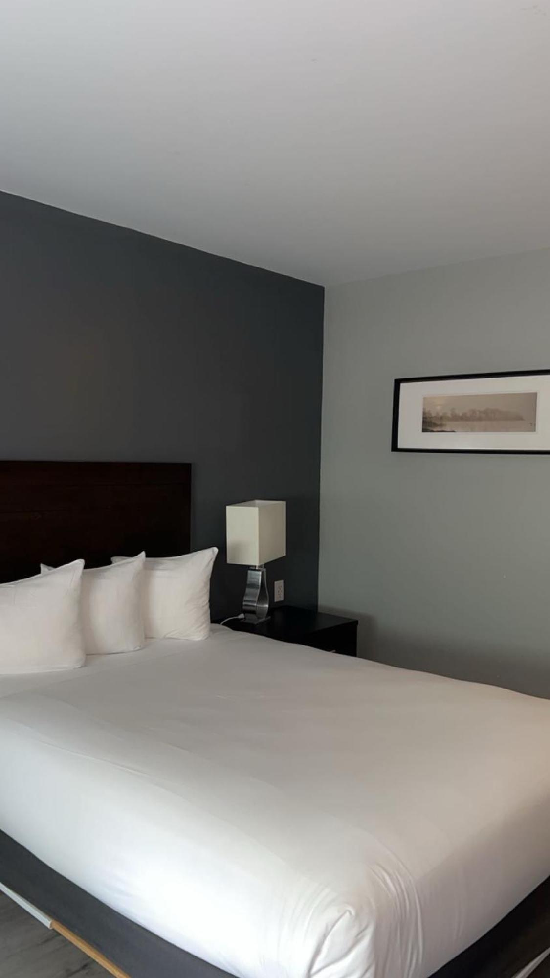 Hotel Newstar Монреал Екстериор снимка